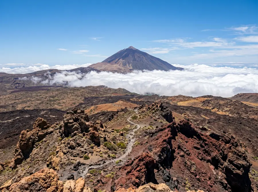 Mount Teide Day Trip